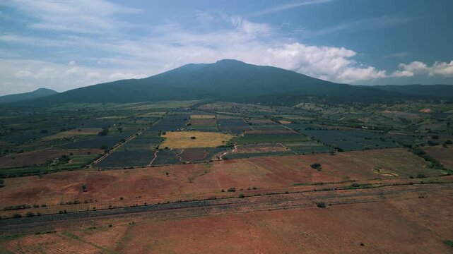Aerial Drone Footage of Agave Fields in Tequila, Mexico &mdash; Blue Agave Rows, Scenic Farmland Patterns, and Iconic Landscape of Jalisco&rsquo;s Tequila-Producing Region