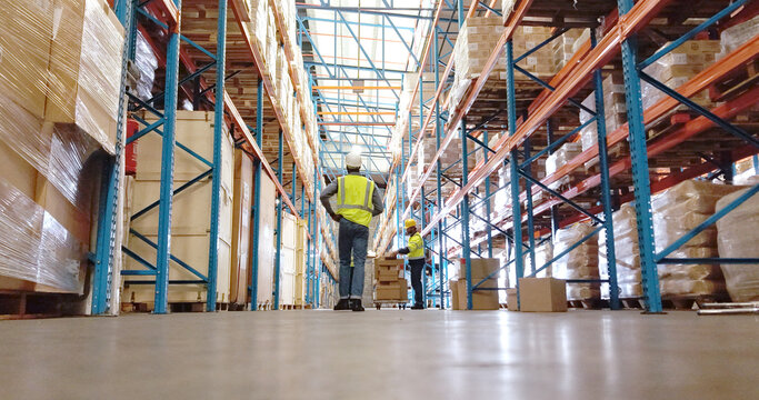 Man, back and inspection at warehouse, logistics and shelf with low angle, storage or walk for safety check. Person, supply chain and cargo for inventory management, export or job at shipping company