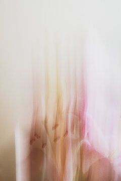 Impressionistic Blurry Image of Pink and Yellow Flowers