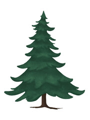Christmas Trees Clipart Set – Cozy Winter Holiday PNG Collection