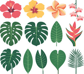 Tropical flowers and leaves illustration
