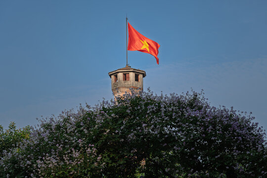 Vietnam flag flying above blooming tree at sunset