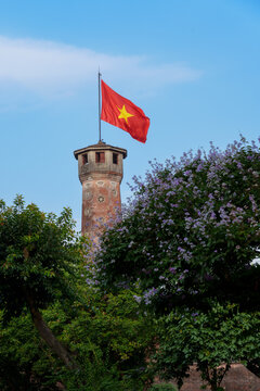 Vietnam flag flying above blooming tree at sunset