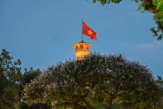Vietnam flag flying above blooming tree at sunset