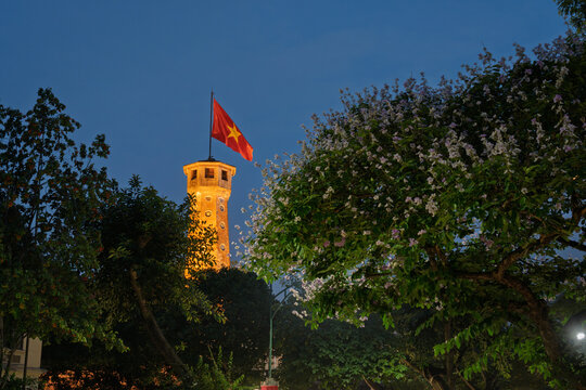 Vietnam flag flying above blooming tree at sunset