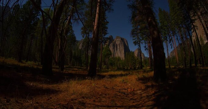 A mesmerizing timelapse of stars streaking across a moonlit night sky above Yosemite Valley. Towering pine trees frame massive granite cliffs under clear, tranquil light.