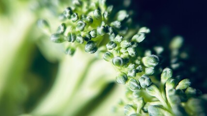 Macro photograph showing the fine texture and natural details of fresh green broccoli florets. The image highlights the organic pattern, vibrant color, and healthy appearance.