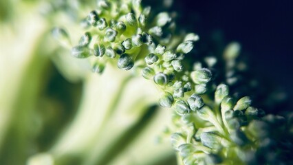 Macro photograph showing the fine texture and natural details of fresh green broccoli florets. The image highlights the organic pattern, vibrant color, and healthy appearance.