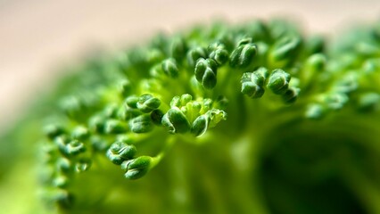 Macro photograph showing the fine texture and natural details of fresh green broccoli florets. The image highlights the organic pattern, vibrant color, and healthy appearance.