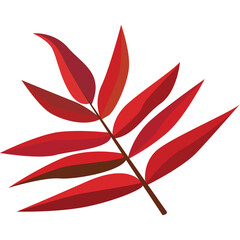 Vibrant Red Autumn Leaf Cluster with Serrated Edges Against a Transparent White Background Detailed Natural Branch Vector Illustration