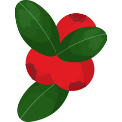 red and green leaves