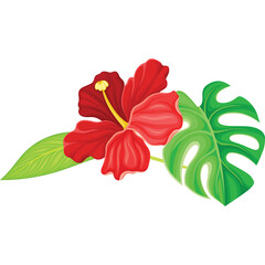 Vibrant Red Hibiscus Flower With Green Tropical Leaves On White Background Isolated Detailed Illustration