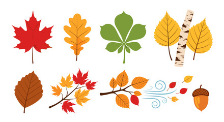 Obraz premium Autumn Leaves and Acorn Illustration Displayed, Symbolizing Fall Season Changes, Ideal for Nature-Themed Educational Materials and Seasonal Marketing Campaigns with a Whimsical Vector Design, Perfect