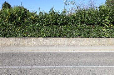 Concrete fence with railing on top.  Unpruned hedge and vegetation on behind . Sidewalk and street in front. Background for copy space.