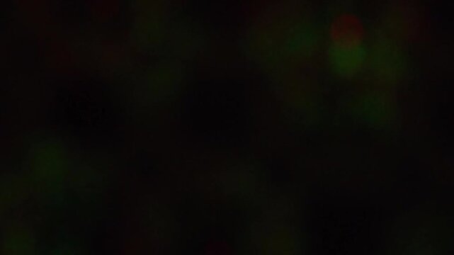 Holiday lights are shining, boken video