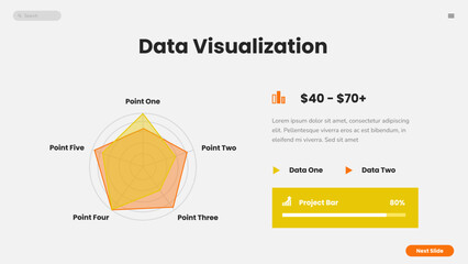 Data Visualization Infographic