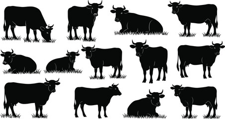 Cow silhouettes grazing and resting, black cattle vector illustration, farm animal clipart, livestock graphic design, dairy cow collection artwork