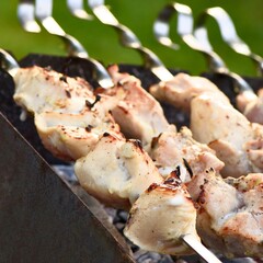 Juicy chicken skewers grilling over hot coals outdoors