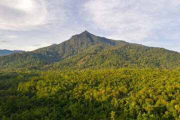 Scenic view of Mount Nambuyukon surrounded by lush tropical rainforest in Serinsim, Kota Marudu, Sabah, Malaysia. Beautiful mountain landscape with rich greenery under blue sky. © Yusnizam Yusof