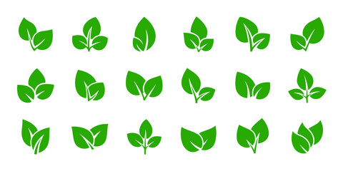 Green leaves set vector illustration isolated. Leaf logos collection.