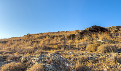 Curving coastal road upon Kea, also known as Tzia, illuminated by warm sunset light beside the Aegean Sea, featuring dry hills and calm water creating the serene Mediterranean atmosphere