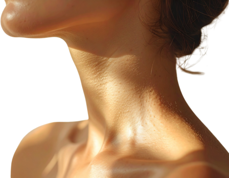 Realistic Human Neck Close-Up – Skin Texture and Shadows PNG