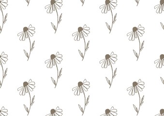 Seamless pattern with hand drawn rudbeckia flower isolated on white background