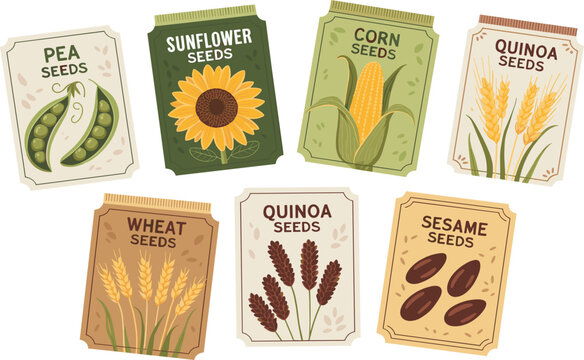 Seed Packet Label Vector Set - Pea, Sunflower, Corn, Quinoa, Wheat, and Sesame - Organic Grain and Farming Illustration