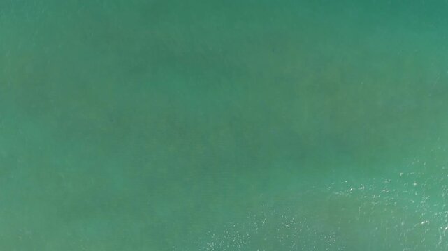 Aerial drone view of a green grass field in summer, showing texture and natural patterns from above, ideal for nature, agriculture, and background design projects.