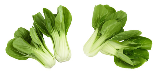 Fresh pak choi cabbage isolated on white background. Top view. Flat lay