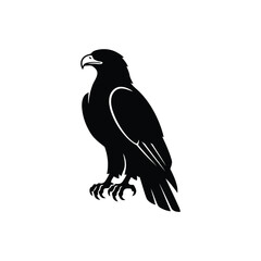 Fototapeta premium Black eagle silhouette