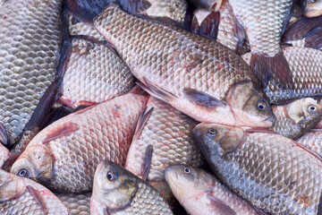 Fresh river fish on a stall at the market