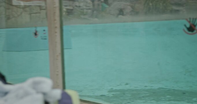 A toddler in a yellow jacket stands next to a stroller, looking longingly at some penguins at the zoo. The child begins to cry and fuss.