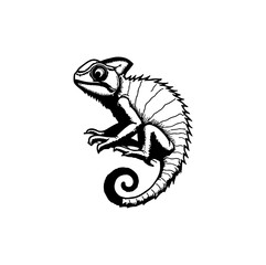 chameleon cartoon isolated on white