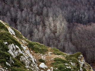 Autunno sui Monti Reatini - Autunno sui Monti Reatini - Terminillo - 