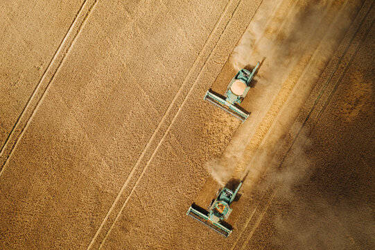 Drone view of two combine harvesters working in a golden wheat field during harvest season. Modern agriculture and food production.