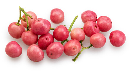 Fresh pink peppercorns isolated on white background. File contains clipping paths.