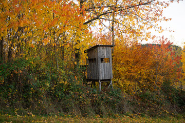 J&auml;gerhochstand im bunten Herbstwald