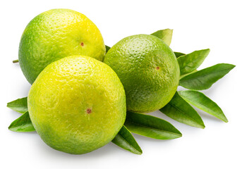 Three green tangerines and tangerine leaves isolated on white background. File contains clipping paths.