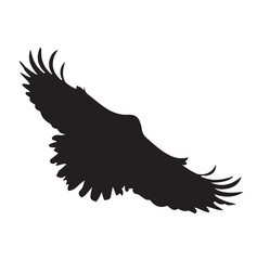 Eagle Silhouette Flying, Vector Illustration Isolated on White Background