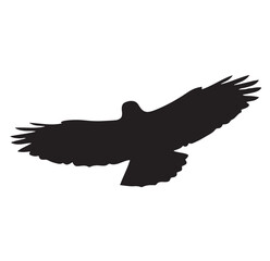Eagle Silhouette Vector, Isolated on White Background.