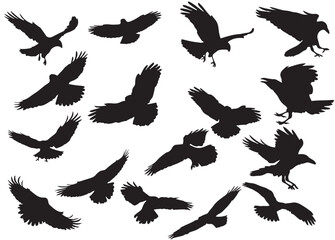 Eagle Silhouettes Set, Vector Illustration Isolated on White Background.