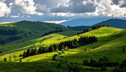 Obraz premium Verdant Rolling Hills Bathed in Golden Sunlight with Dramatic Clouds Overhead