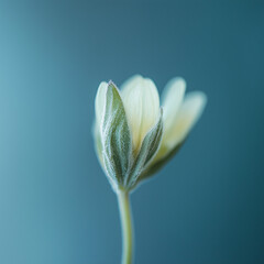 Cool minimalist ambient music album cover