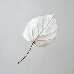 Cool minimalist ambient music album cover