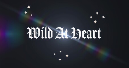 Displaying gothic Wild At Heart text on studio-style backdrop, with rainbow flare and diamond stars