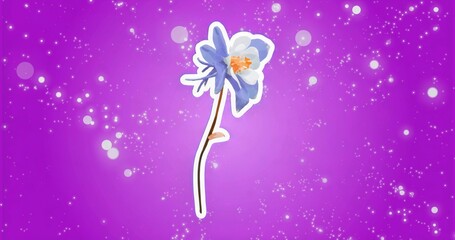 Displaying blue-and-white flower perching atop brown stem against purple backdrop, glowing sparkles