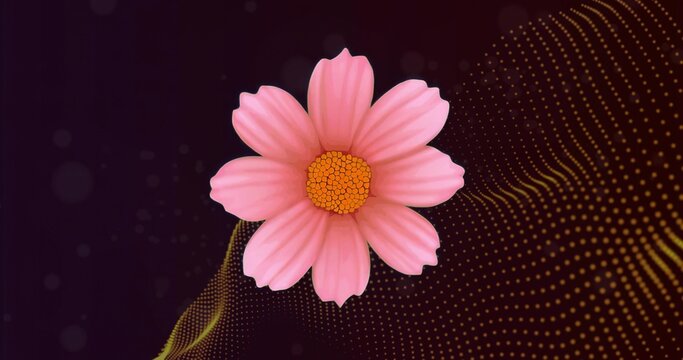 Fototapeta Pink daisy-like flower floating in purple abstract backdrop, with yellow dotted waves and bokeh