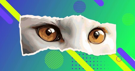 Showing amber cat eyes floating on torn paper strip over abstract background, with geometric shapes