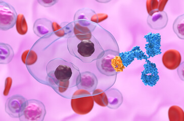 Monoclonal antibody therapy in Hodgkin lymphoma (HL) - closeup view 3d illustration